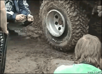 img.gif